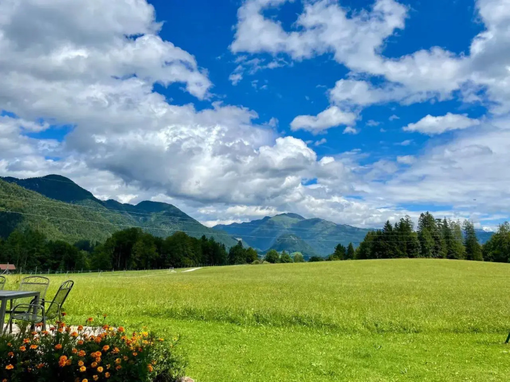 Gut im Schlag