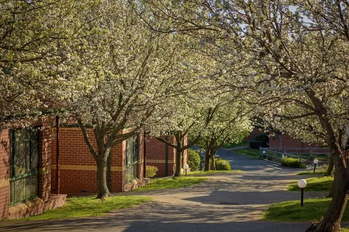 Mount Waverley Townhouses