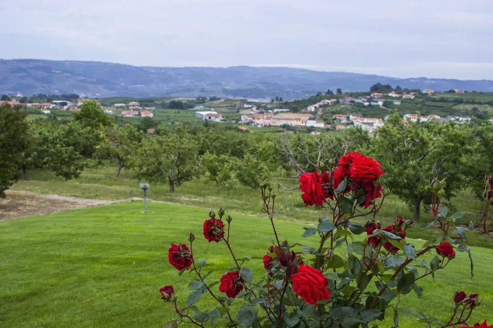 House With 5 Bedrooms in Britiande, With Wonderful Mountain View, Encl