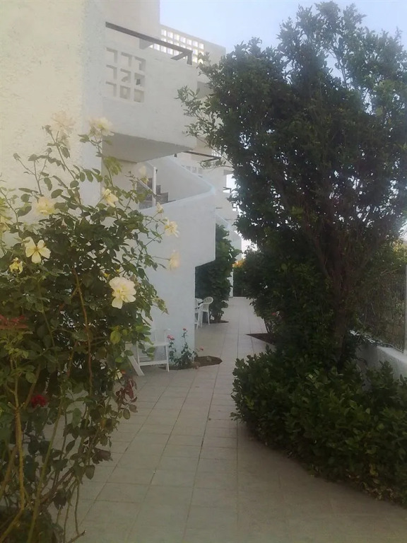 Irilena Apartments