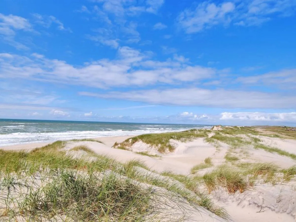 "Elin" - 450m from the sea in Western Jutland