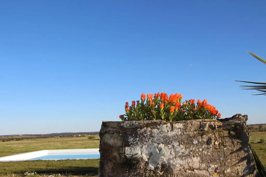 Monte Da Azarujinha
