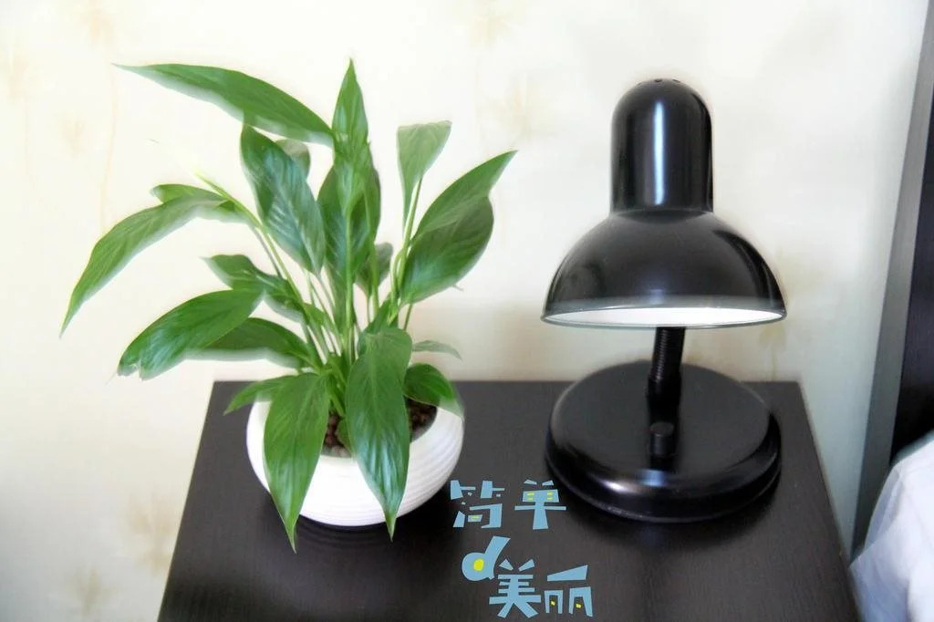 Qianbaihui Apartment Zhongguancun