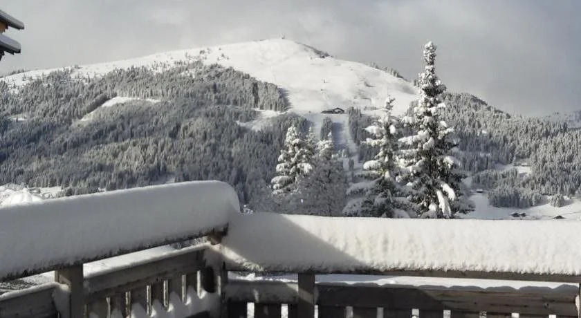 Chalet Hotel La Croix Blanche