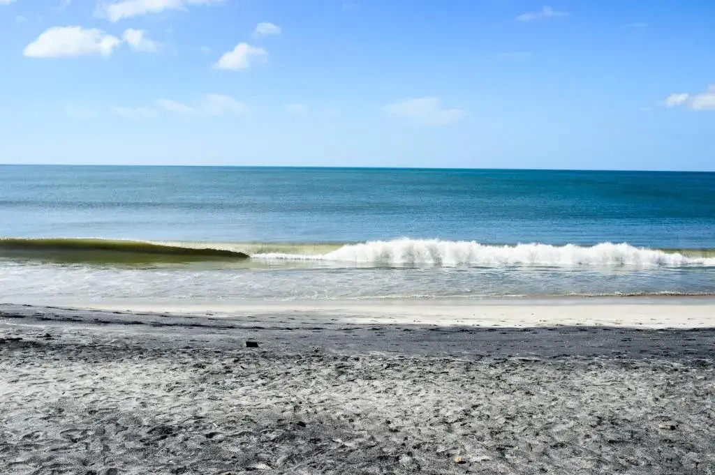Aparthotel Pelican's Surf Club