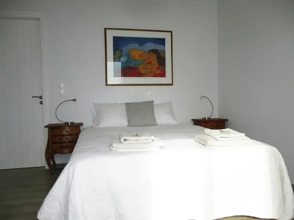 Comfortable Villa Near Sea in Andros