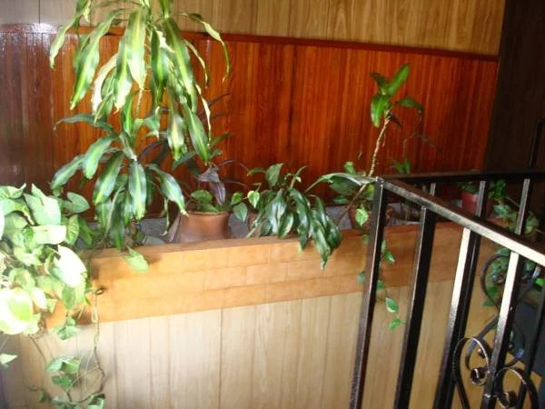 Hotel Brero