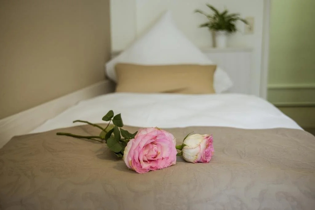 Hotel Luise