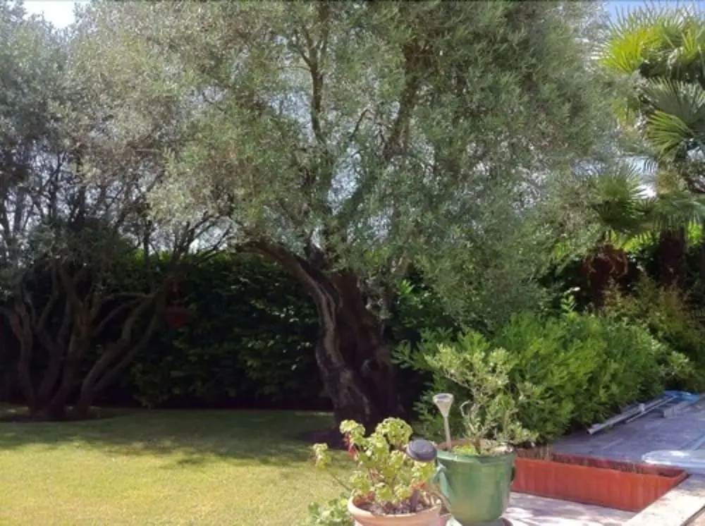 villa santa rita
