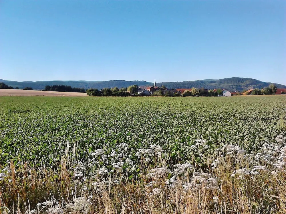 Monteurwohnung Langelsheim 6 Personen