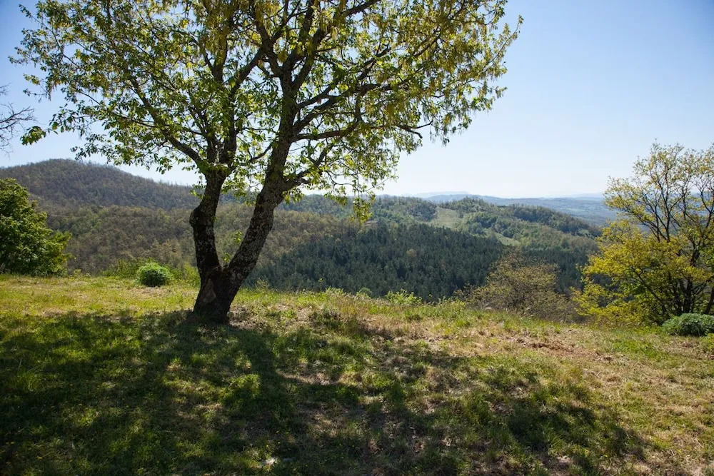Casale Belvedere con piscina nel bosco