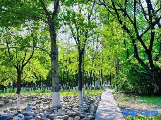 HanTing Hotel (Qujing Qilin Garden)