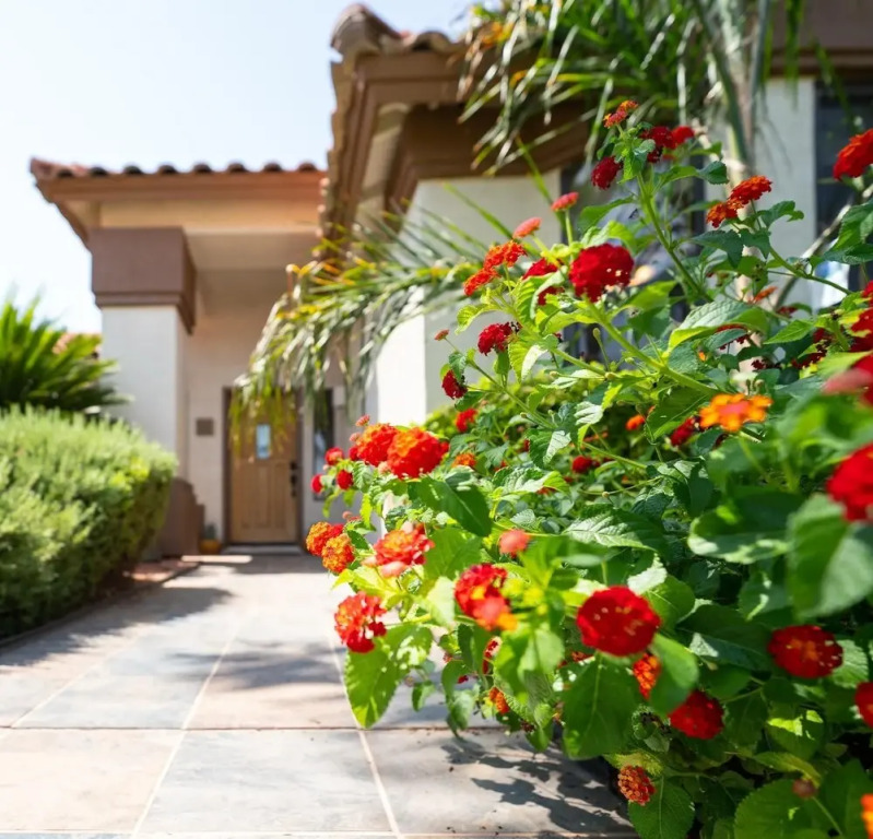 Val Vista Paradise in Gilbert
