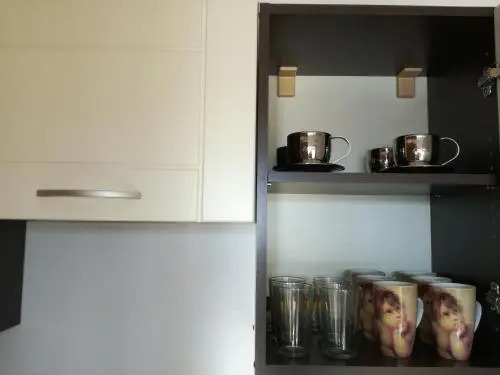 Luxury Apartment