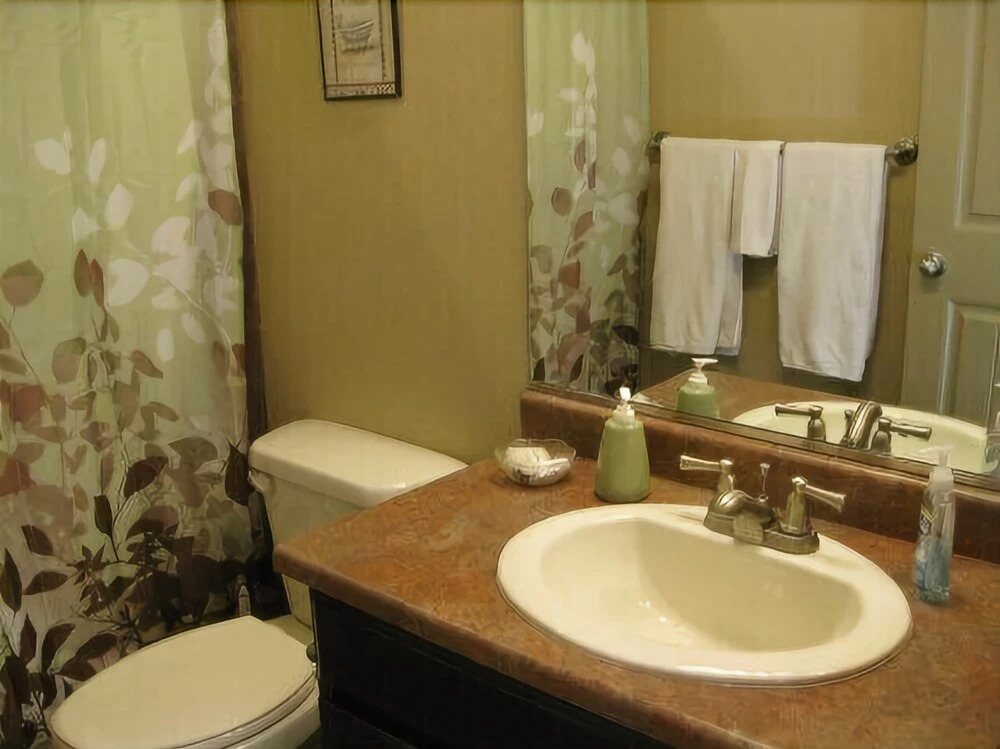 3 Bedroom Home in Mesquite #381