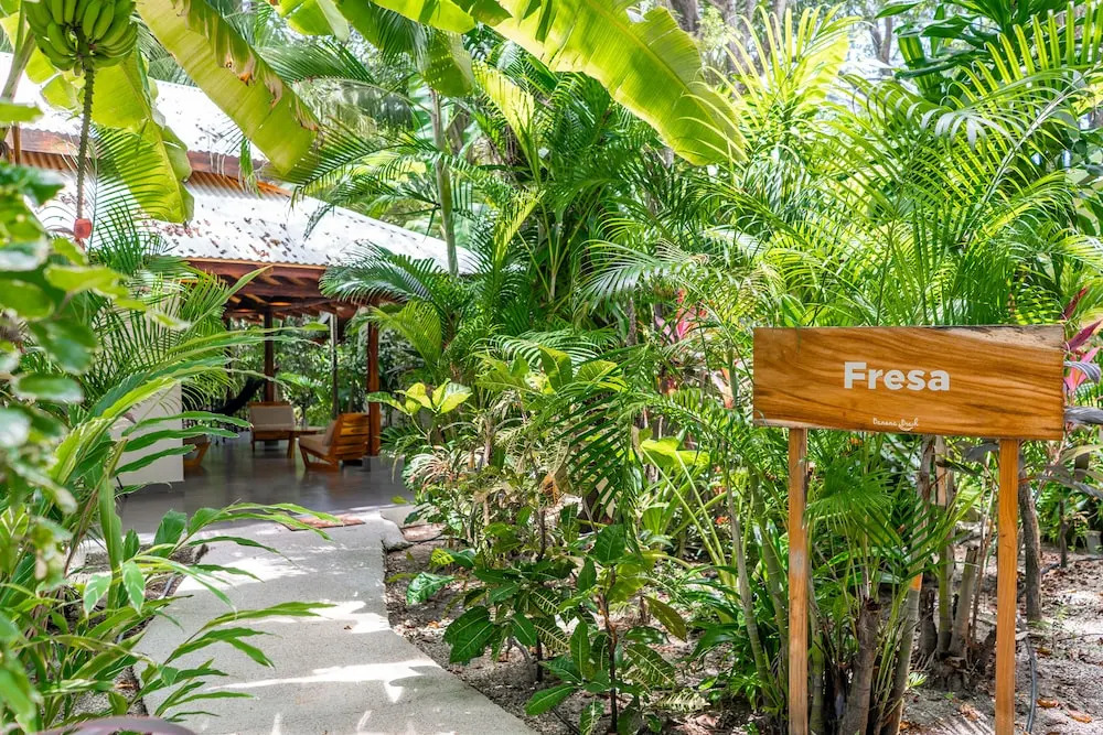 Banana Beach Bungalows