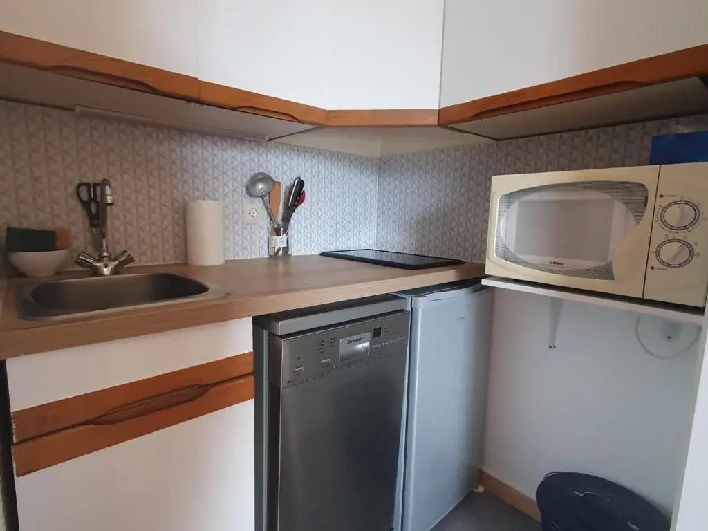 Appartement Les Deux Alpes, 1 pièce, 4 personnes - FR-1-348-195