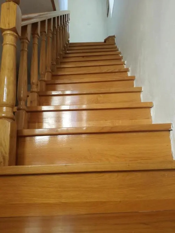 Guesthouse Romana