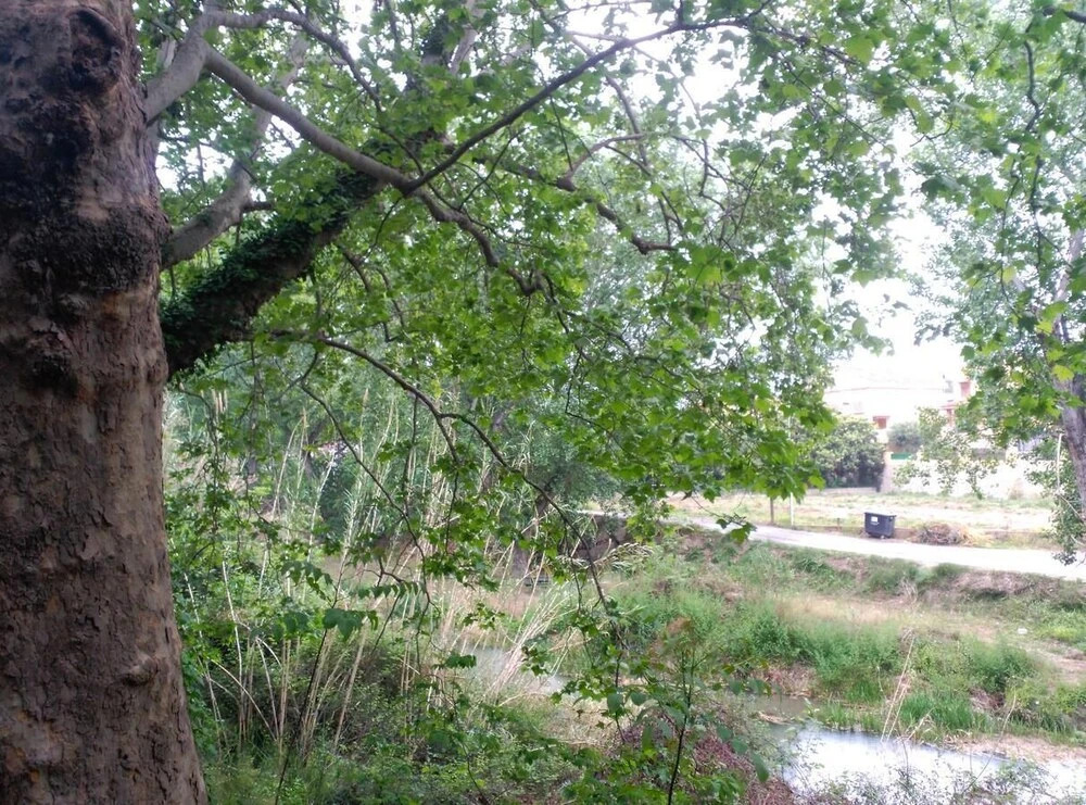 La Casita del Río