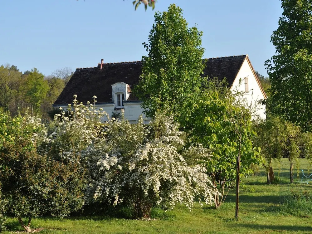 The Cottage