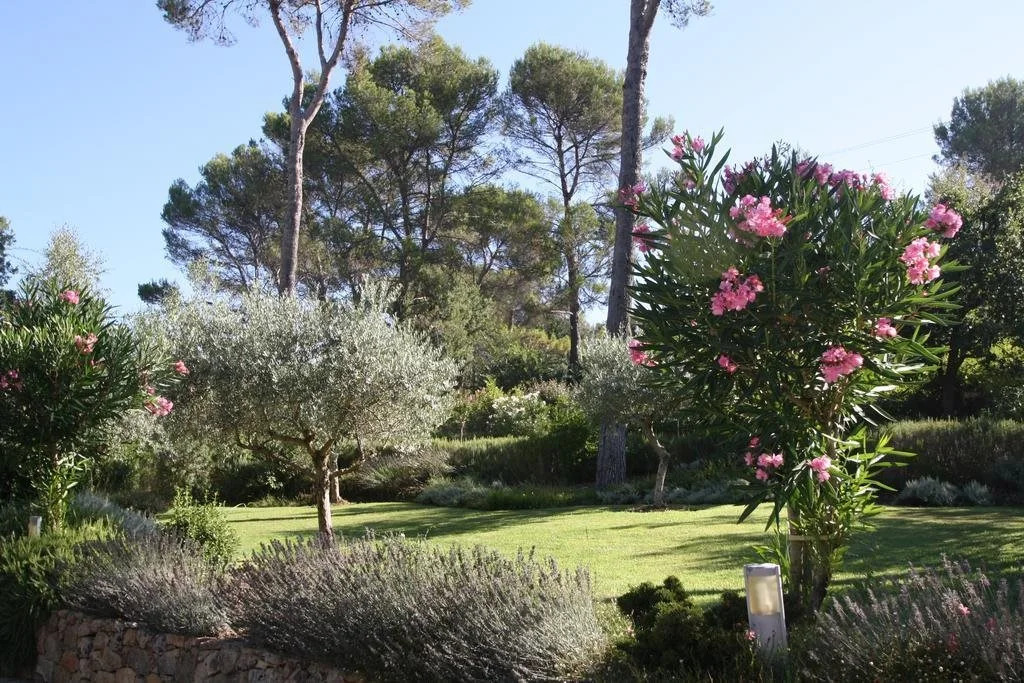 Villa & Gites La Corbusière