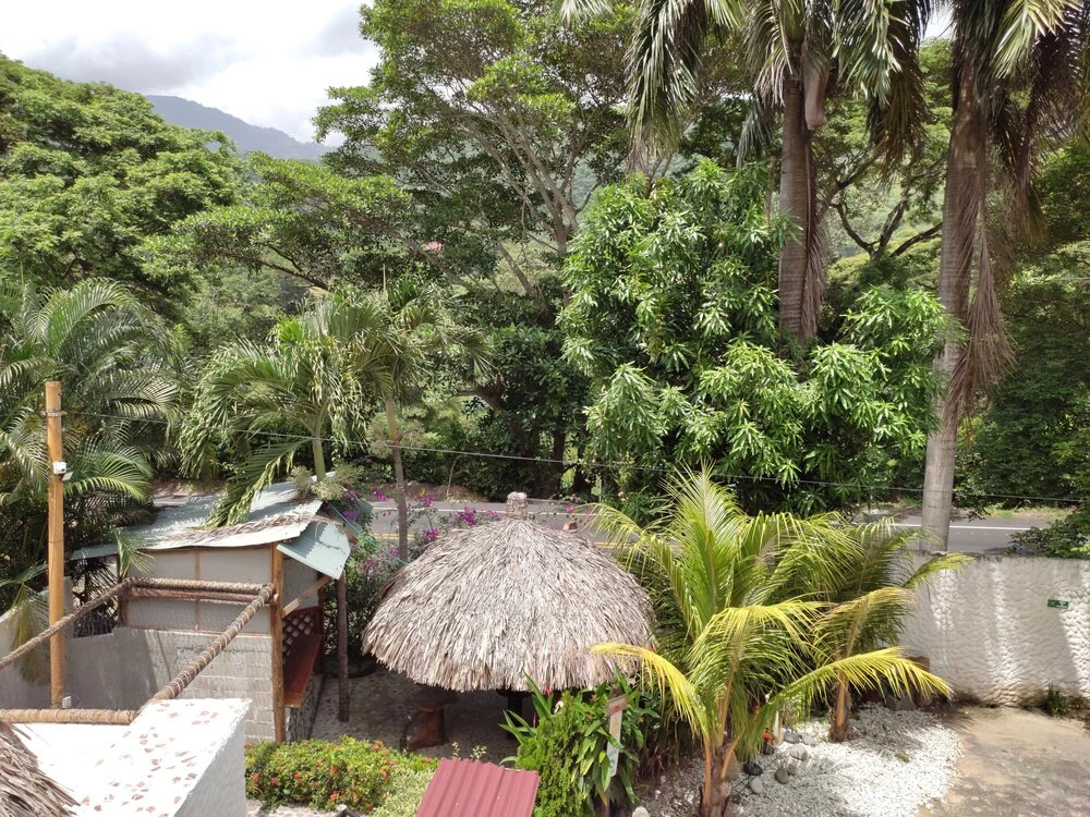 Hotel Manakin Tayrona