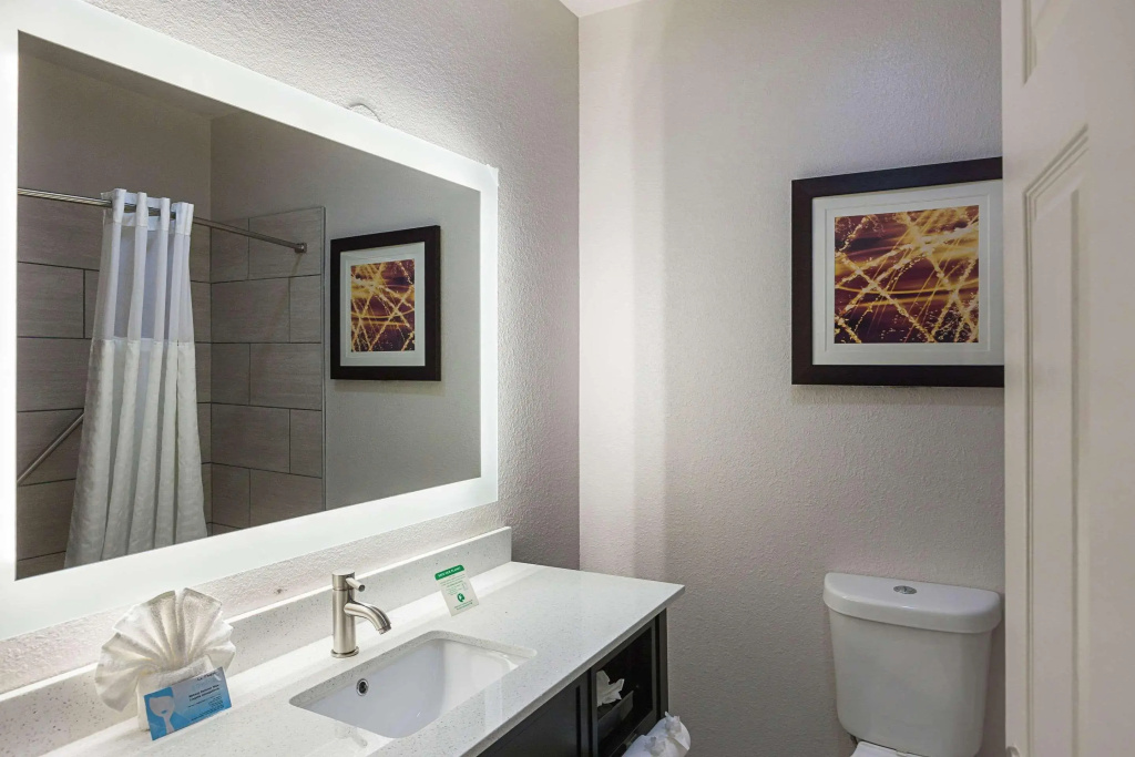 Comfort Suites Lewisville - Dallas