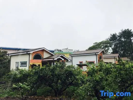 Seogwipo Jeju Woori House Pension