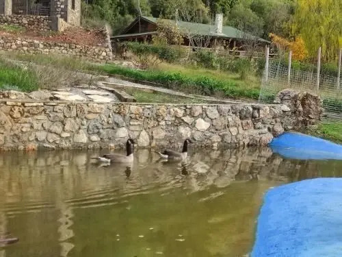 Chalet 1 Bedroom 1 Bathroom - Kalavryta