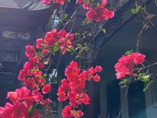 Dali Ancient City Xianqing Yazhu Boutique Inn