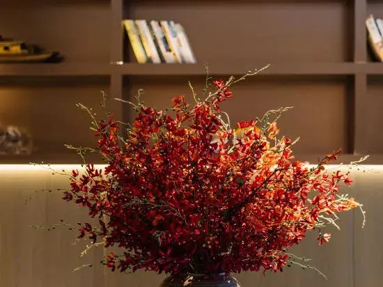Maison New Century Hotel Lu'an