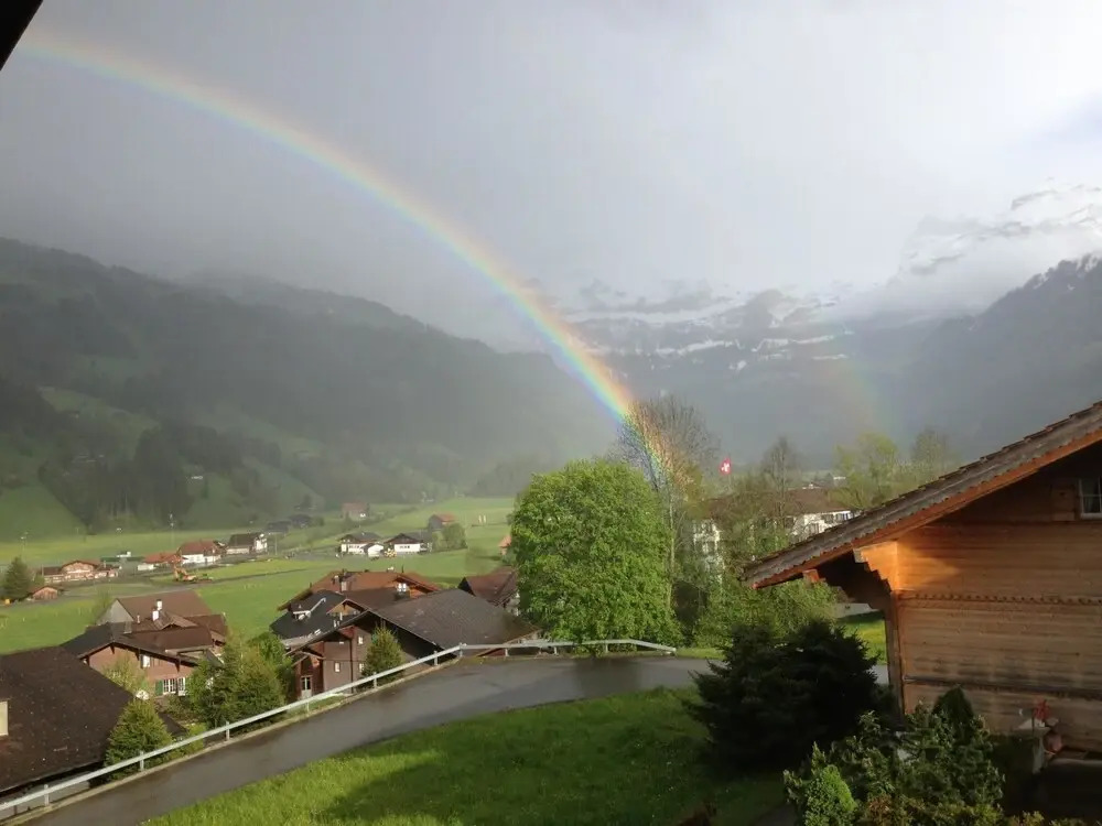 Rott li OG Lenk in Lenk