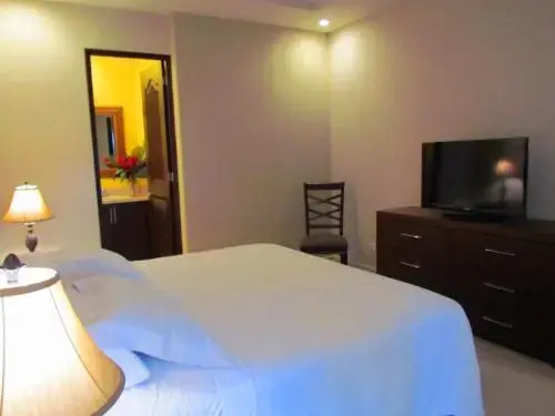 Tamarindo Beach For Rent Condo 206