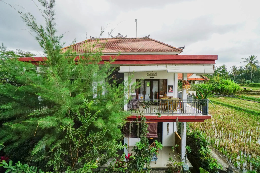 Molecha Guest House