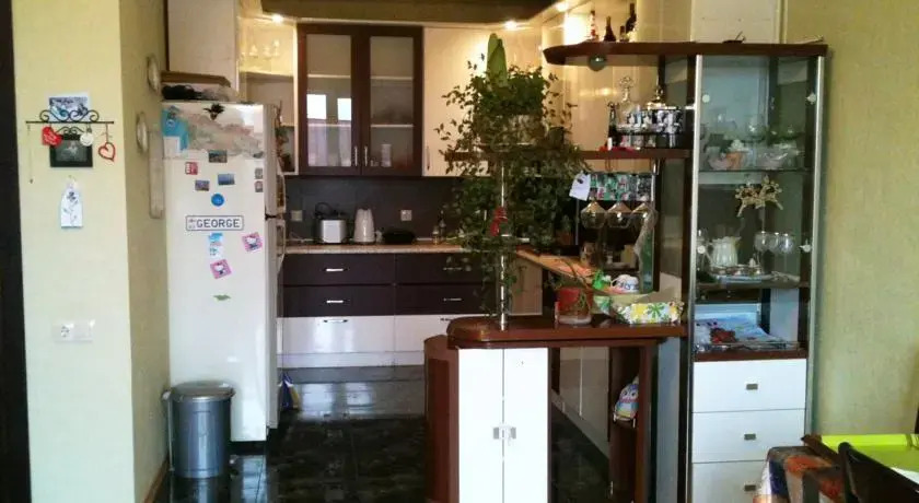 Green Apartmnet on Shenchenko