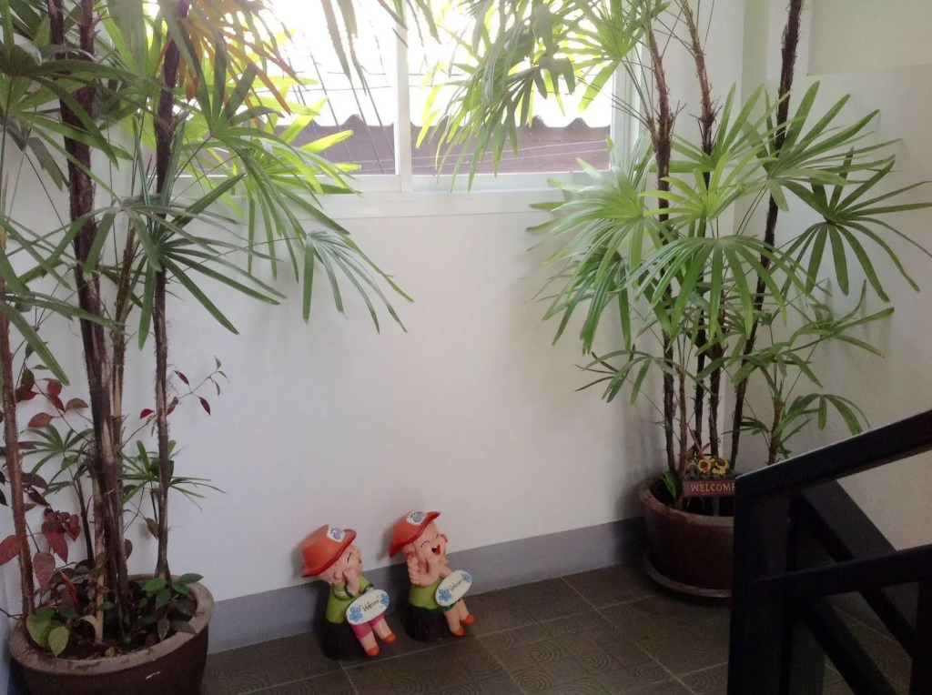 Grandma Kaew House