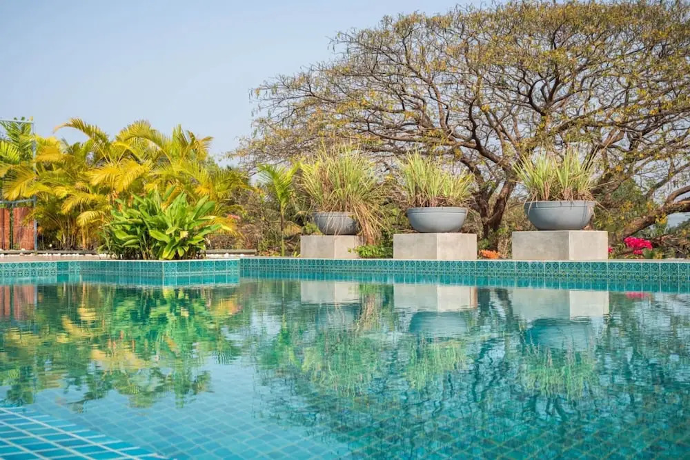 El Arbol - 305 in Nerul