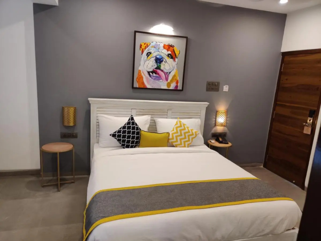 The Bark- An Art Hotel
