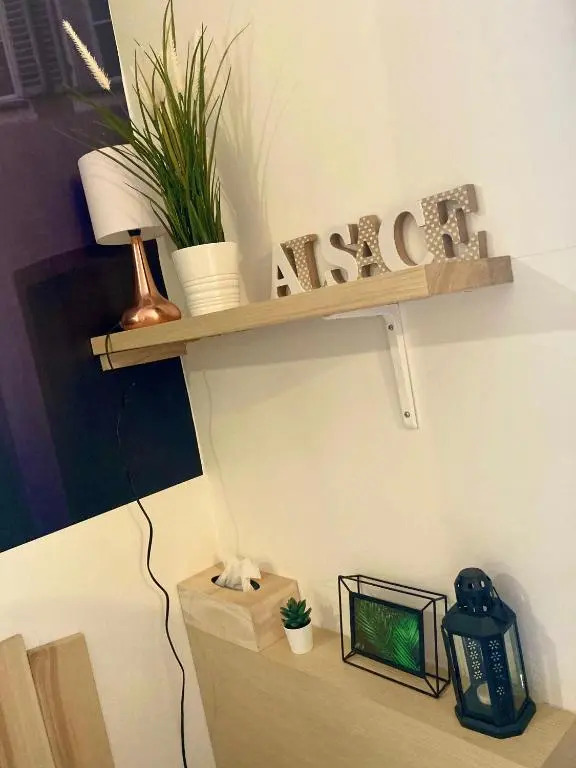 * Le Garden * Studio * Centre-ville Mulhouse