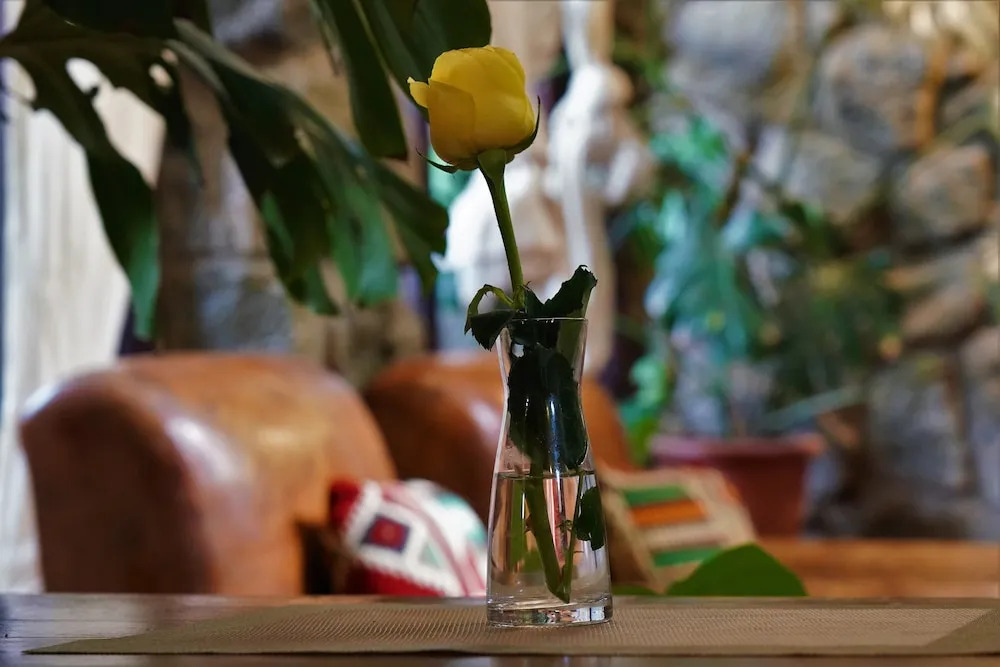 Tryst Boutique Hotel