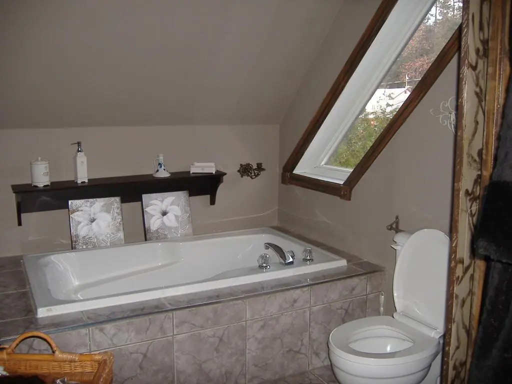 Le petit Manoir Spa et Vue sur rivière St Maurice
