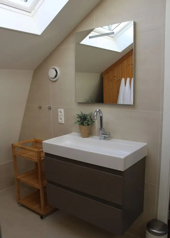 Duinroos Egmond nr 16