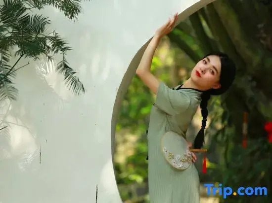 Mount Qingcheng Three Cats  Forest Spa Homestay