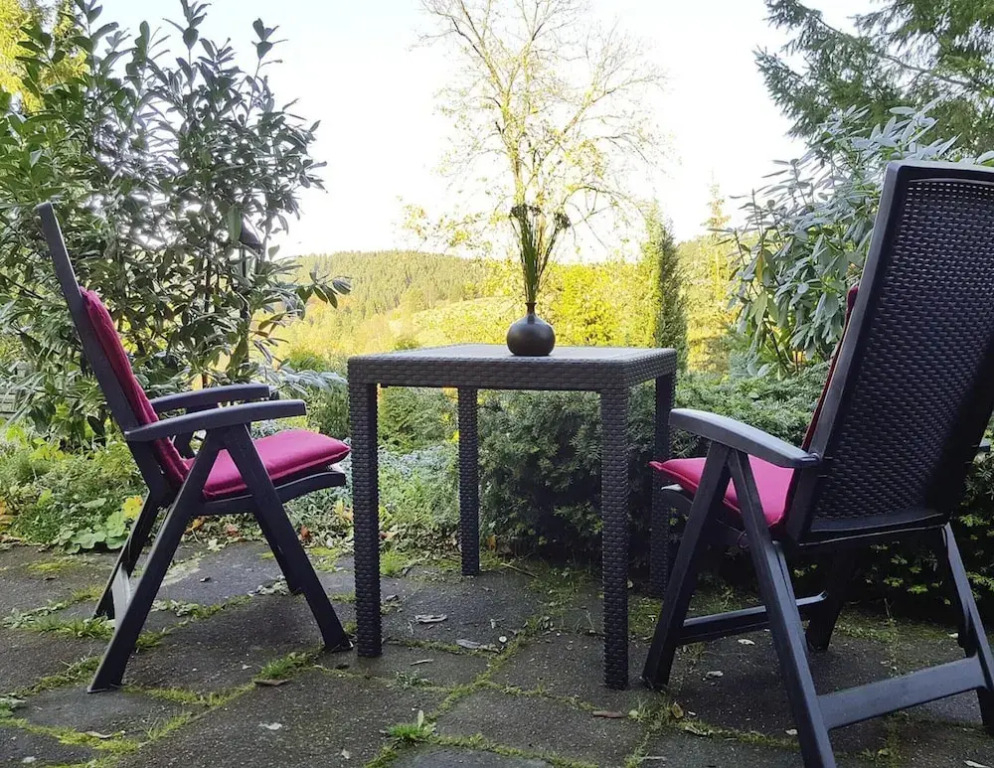 Apartment for 4 Guest Near Harz Mountains