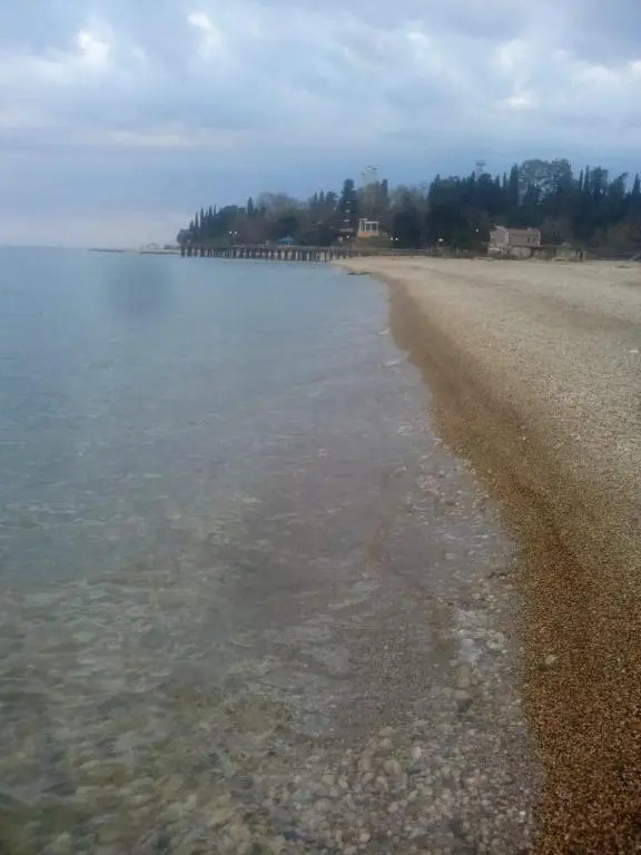 Салангана