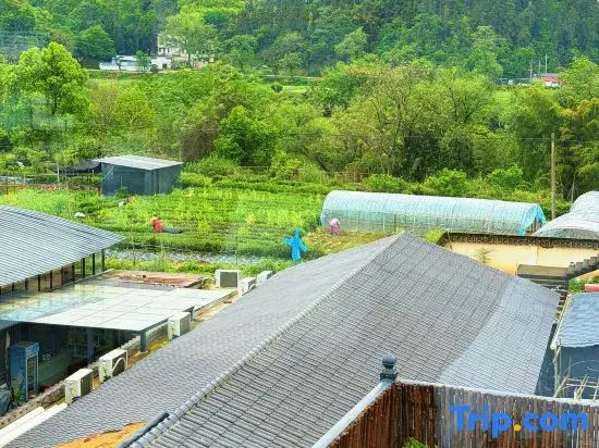 Half-Day Leisure · Free Courtyard