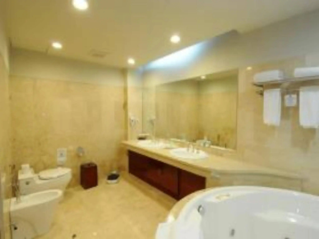Hotel Savoy Homann