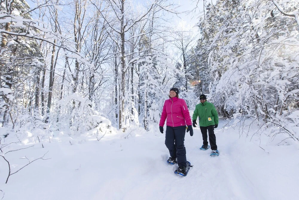 Blue Mountain Resort Mosaic Suites