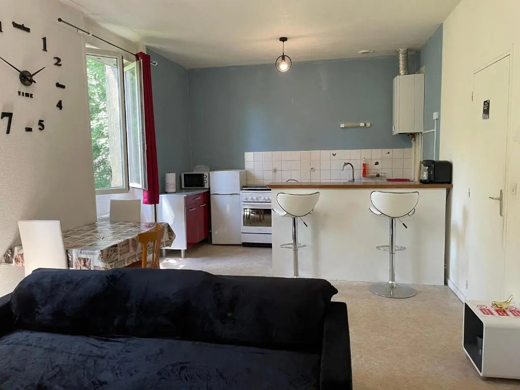 APPARTEMENT AU CENTRE VILLE de ROANNE 50 m²