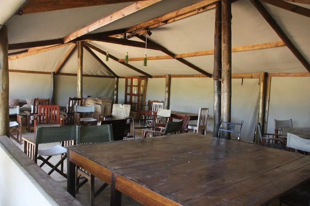 Miombo Safari